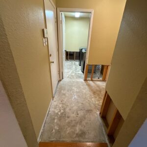 dry wall repair 78258 Stone Oak, TX